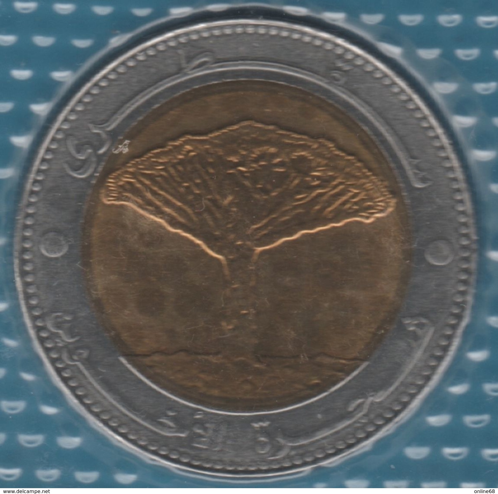 YEMEN 20 RIALS 1425 (2004) KM# 29 Bi-métallique Socotra Brothers Tree - Jemen