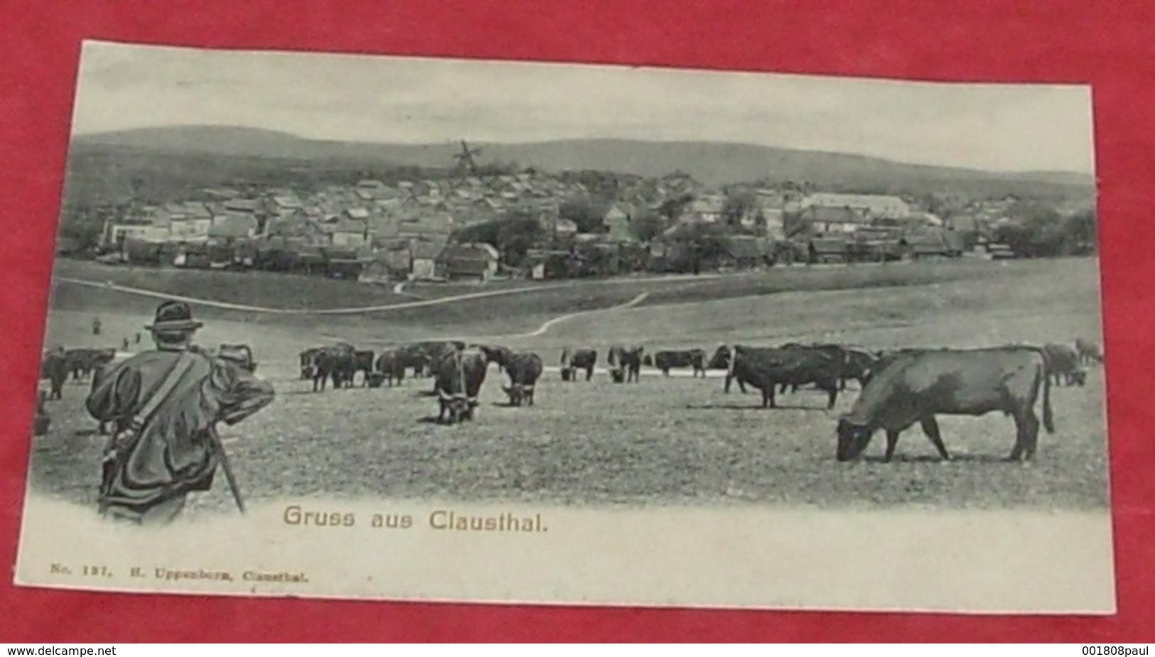 Gruss Aus Clausthal : Tampon 1906 ::: Animation - élevage - Vaches  ------- 436 - Clausthal-Zellerfeld