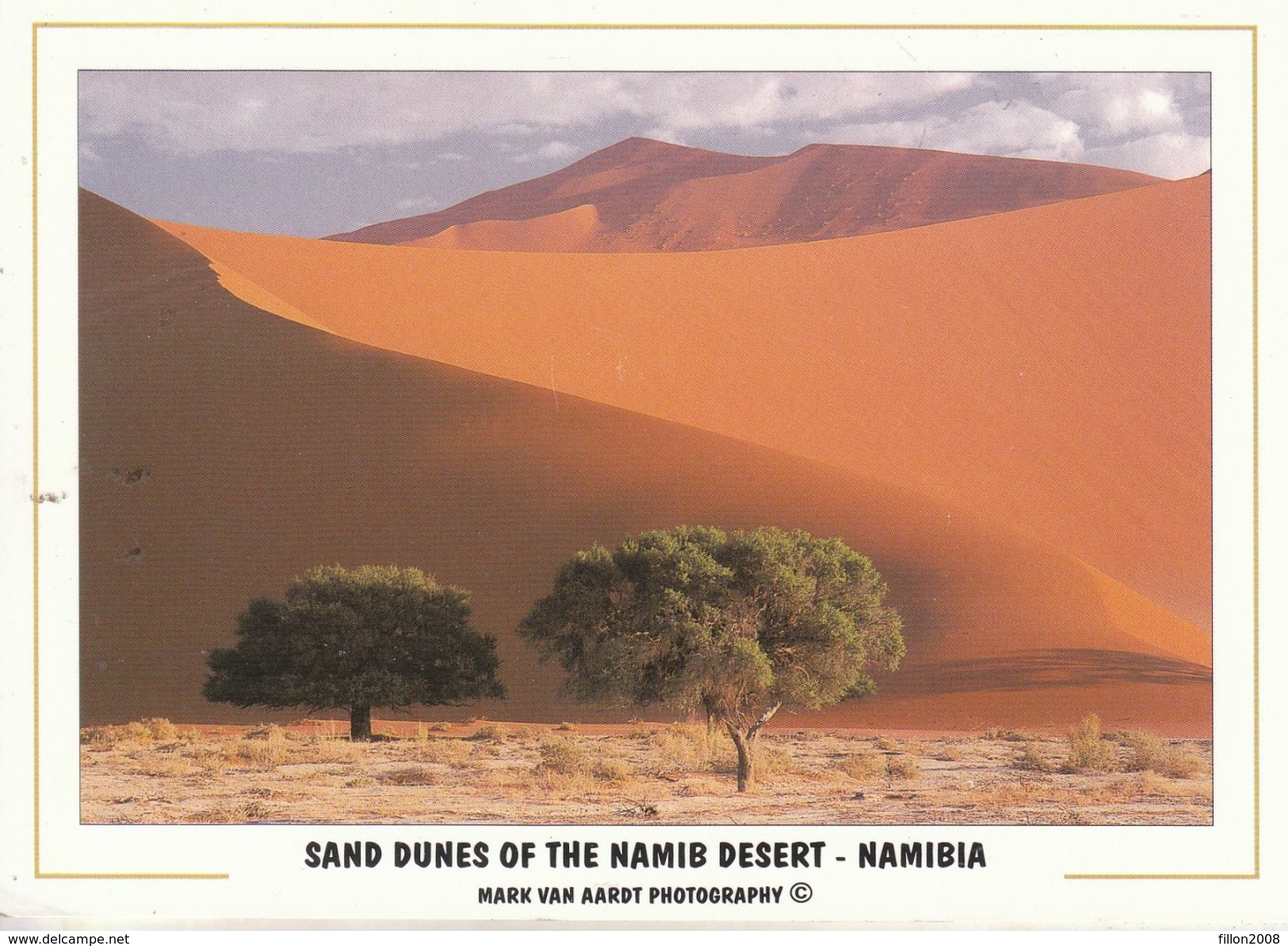 Namibie - Le Plus Vieux Désert Du Monde - Namibie