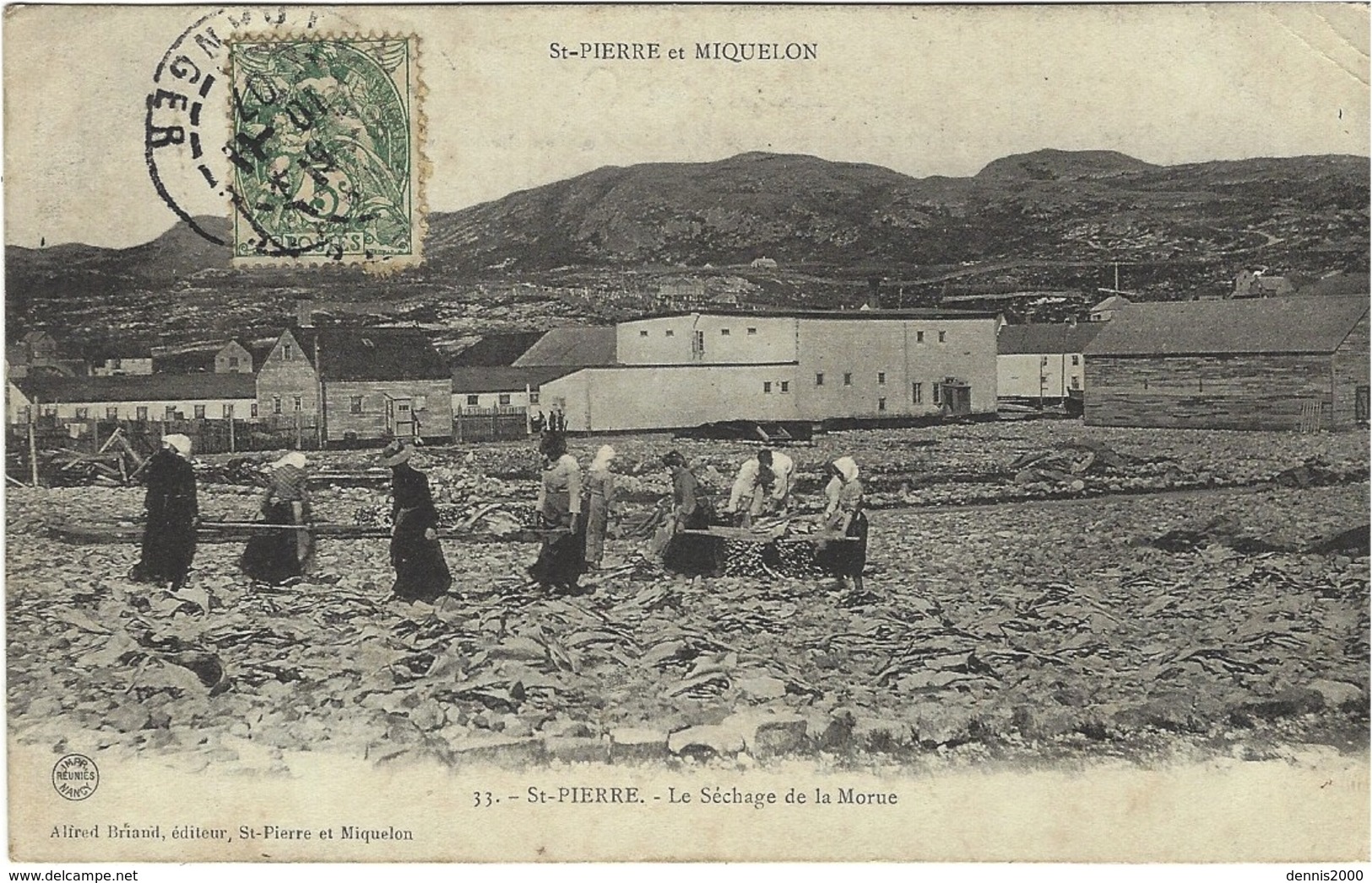 ST PIERRE Et MIQUELON - 31- St-PIERRE - Le Séchage De La Morue -ed.A. Briand - Saint-Pierre-et-Miquelon