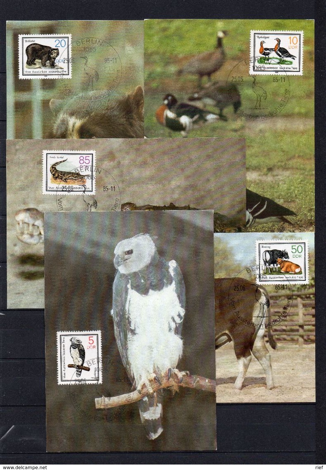 DDR, 1985, Michel 2952/56 MC, Bedrohte Tiere - Maximumkarten (MC)