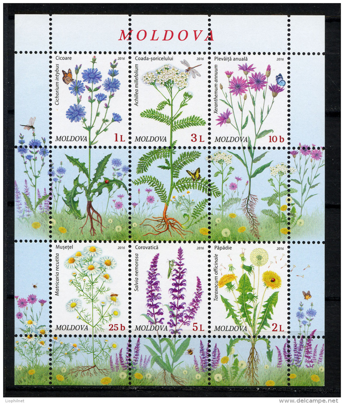 MOLDAVIE 2016, FLEURS DES CHAMPS, Feuillet De 6 Valeurs, Neufs / Mint. RmolFDCflt - Other & Unclassified