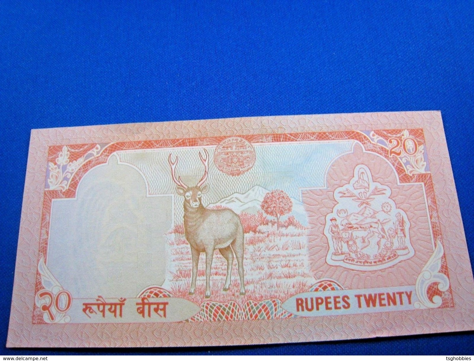 NEPAL  1980s  BANKNOTES - SET OF 6  CU     (mr)