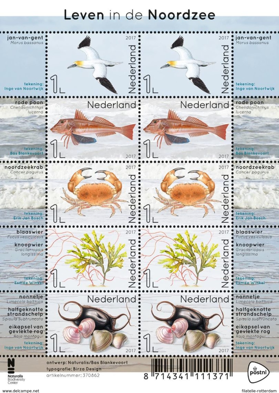 Nederland / The Netherlands - Postfris / MNH - Sheet Leven In De Noordzee 2017 - Ongebruikt