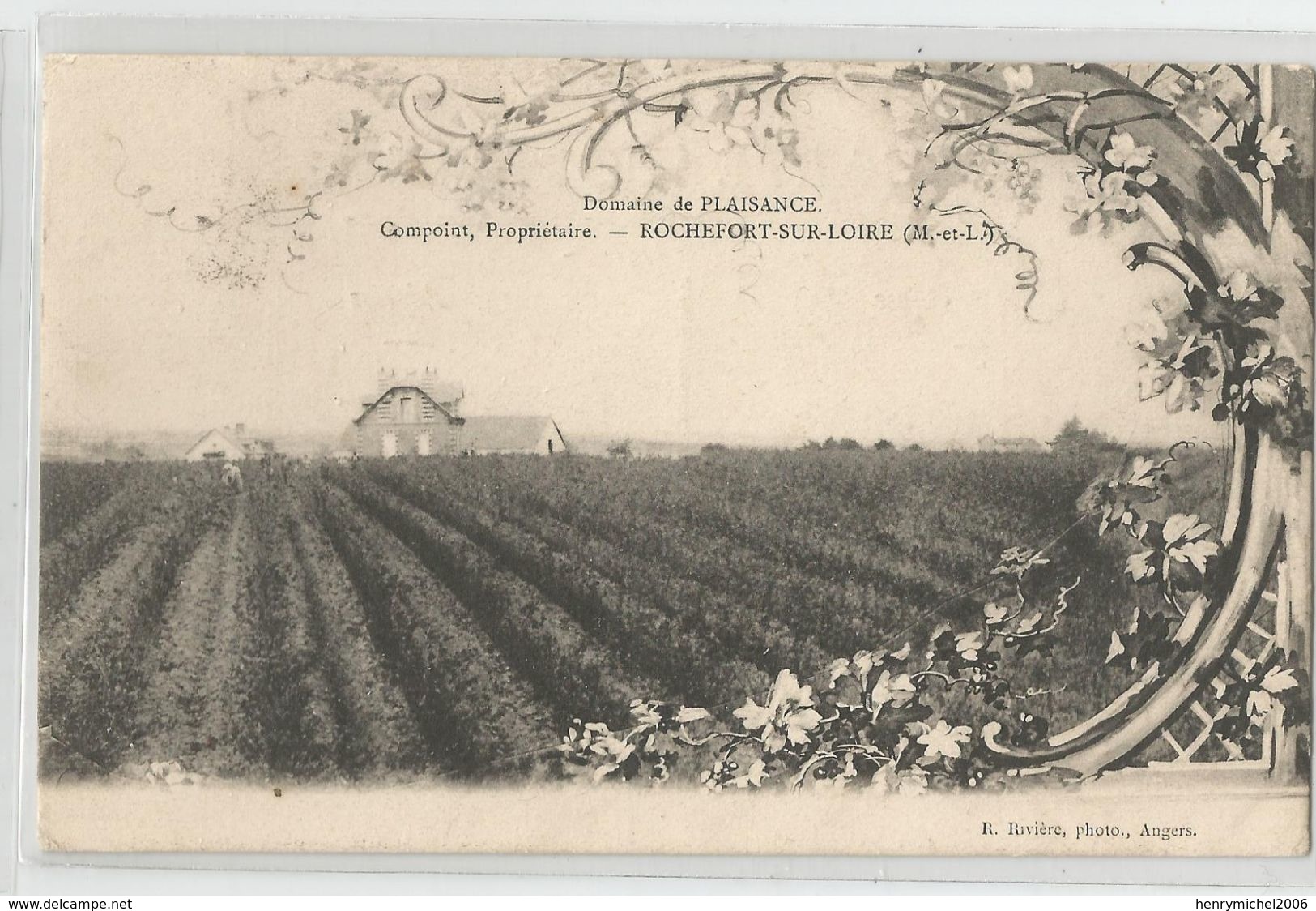 49 Maine Et Loire - Rochefort Sur Loire Domaine De Plaisance Vignes Ed Photo Rivière D'angers - Autres & Non Classés