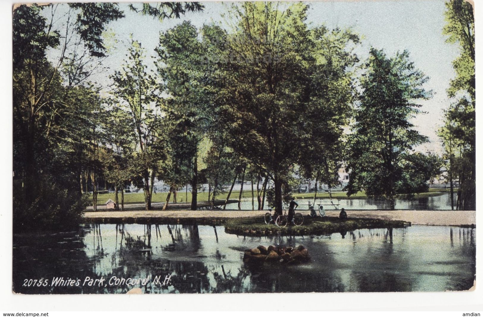 Concord NH, White's Park Scene C1909 Old Vintage New Hampshire Postcard M8569 - Concord