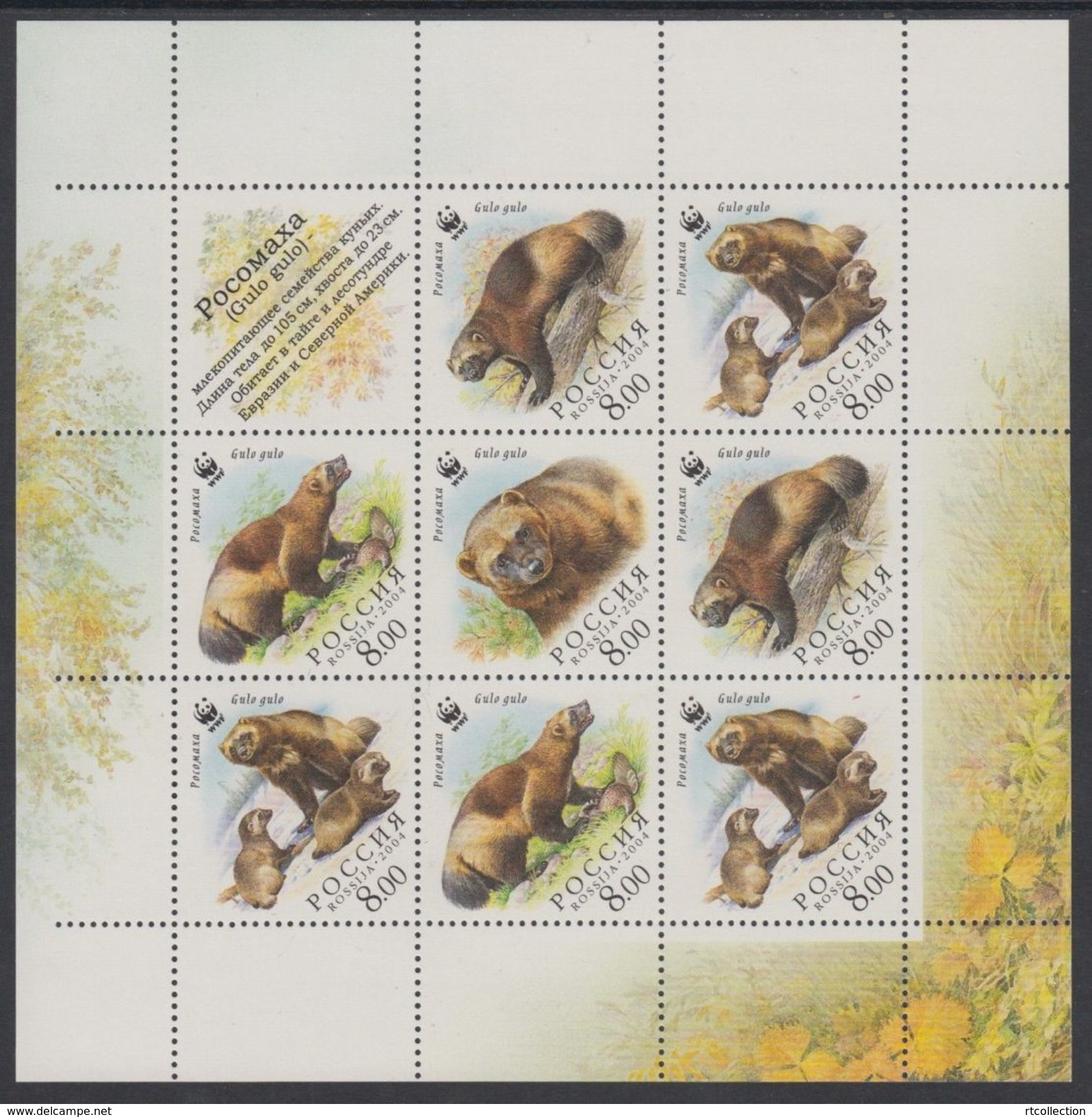 Russia 2004 M/S WWF W.W.F. Wolverine Bear Animals Mammals Bears World Wildlife Fund Organizations Stamps MNH Sc 6857 - Lots & Serien