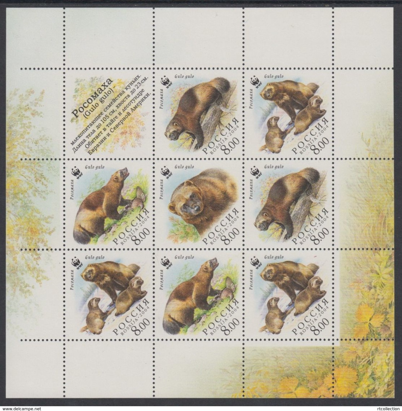 Russia 2004 M/S WWF W.W.F. Wolverine Bear Animals Mammals Bears World Wildlife Fund Organizations Stamps MNH Sc 6857 - Other & Unclassified