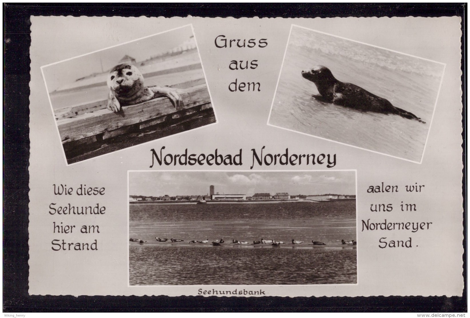 Norderney - S/w Mehrbildkarte 18   Seehundsbank - Norderney