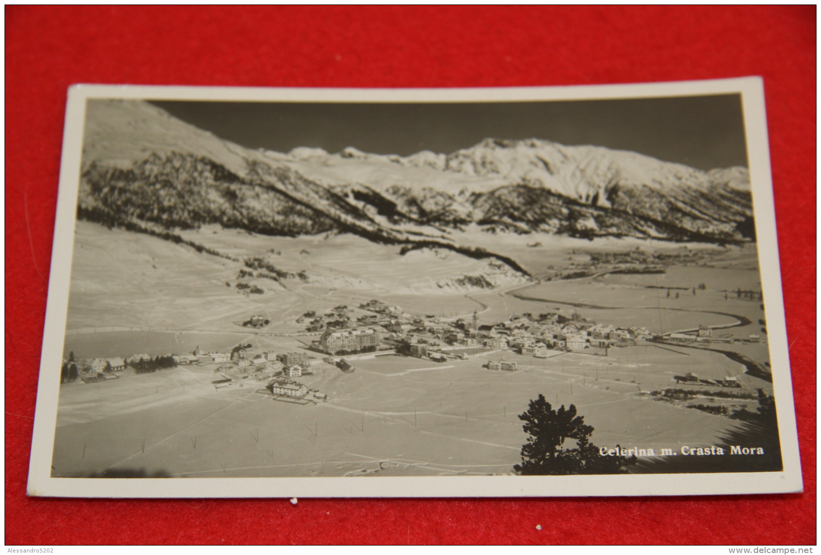 Grisons Engadin Celerina M. Crasta Mora 1950 - Celerina/Schlarigna