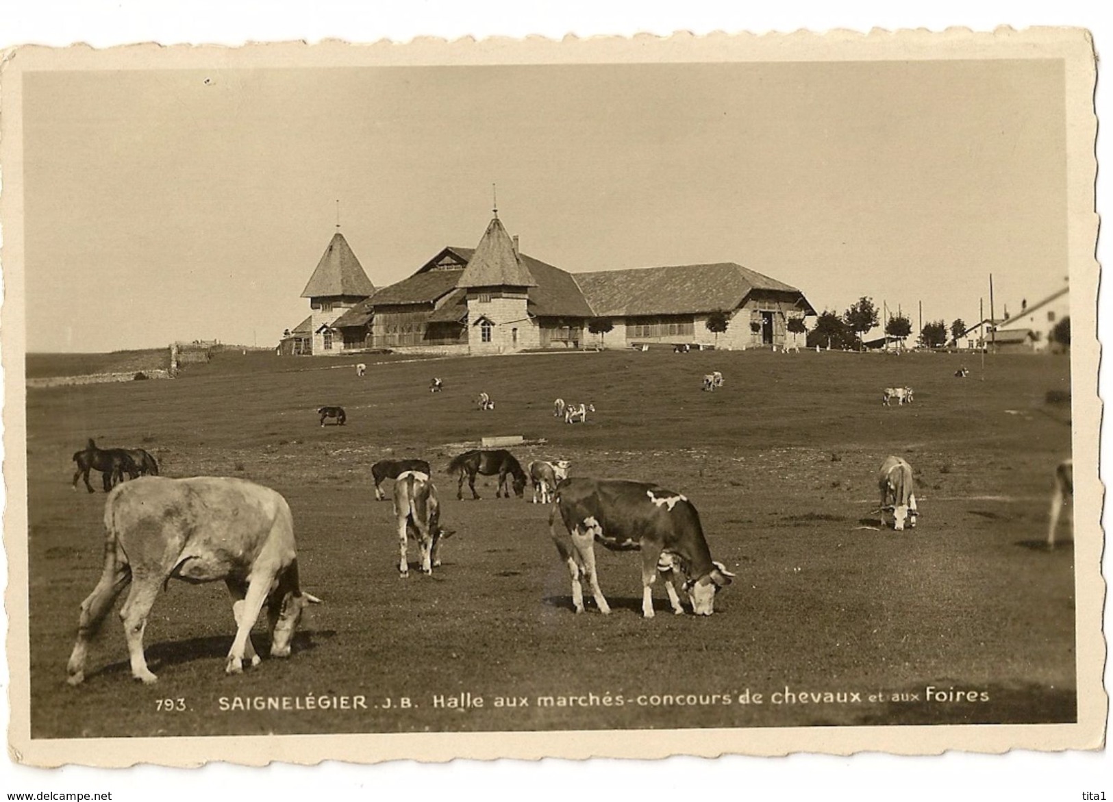 S6876 - Saignelégier - Halle Aux Marchés- Concours De Chevaux Et Aux Foires - Saignelégier