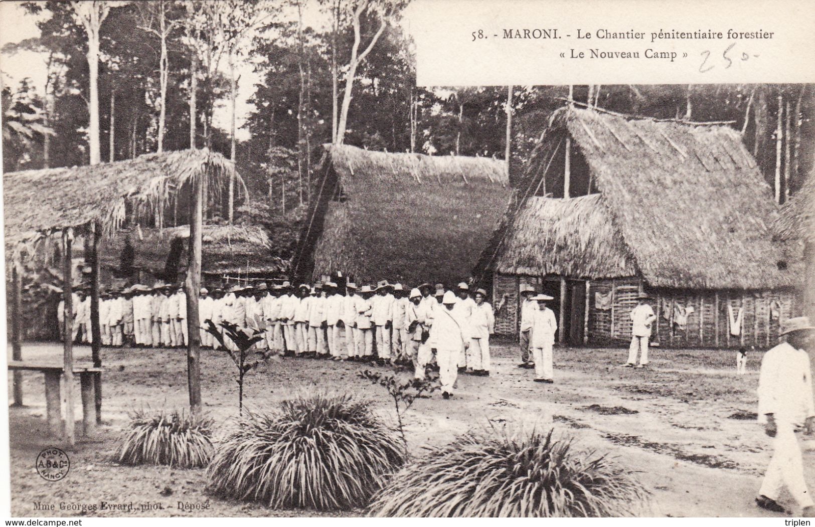 Maroni - Le Chantier Pénitentiaire Forestier "Le Nouveau Camp" - Autres & Non Classés