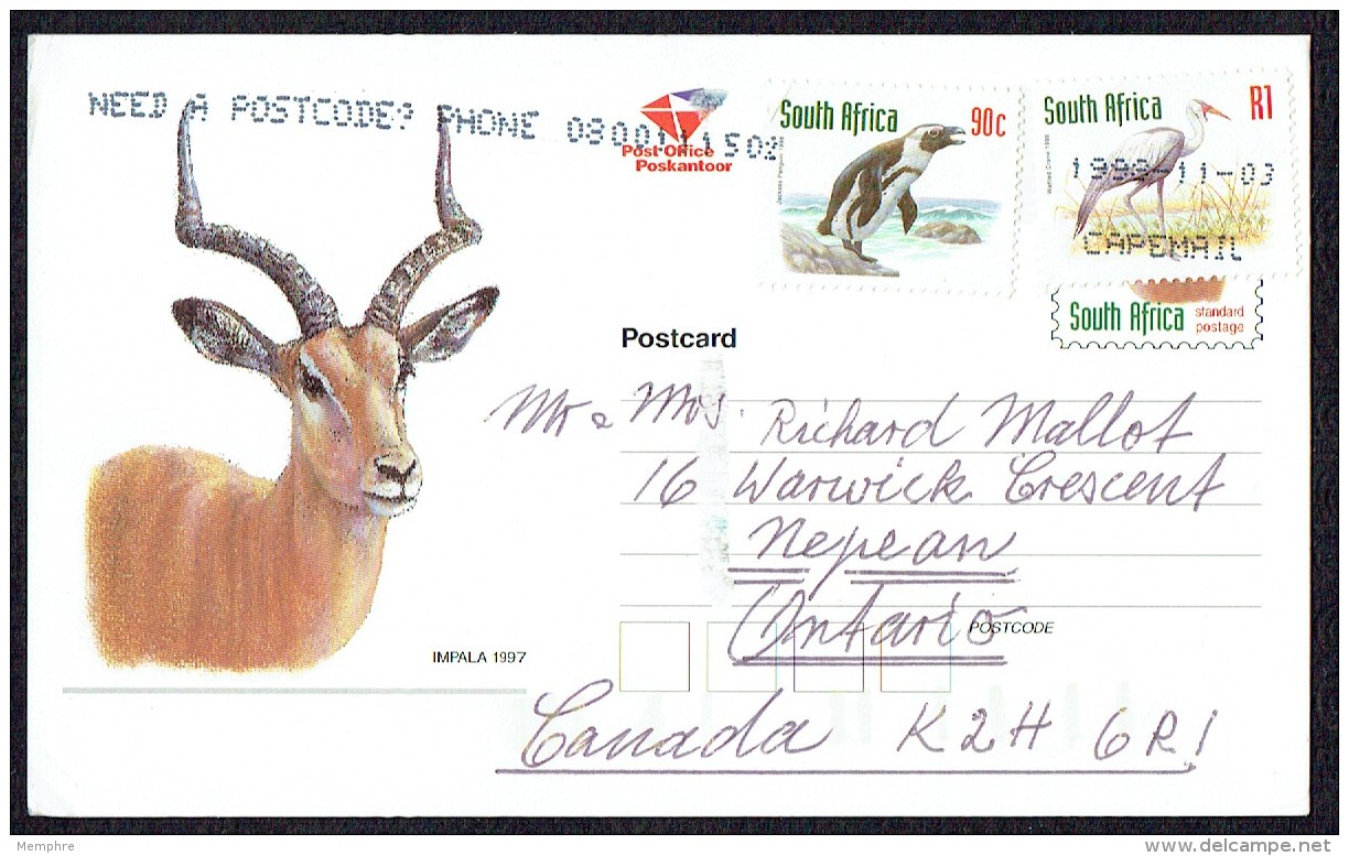 1198  Illustrated Postcard  Impala  Uprated R1,90 To Canada - Brieven En Documenten