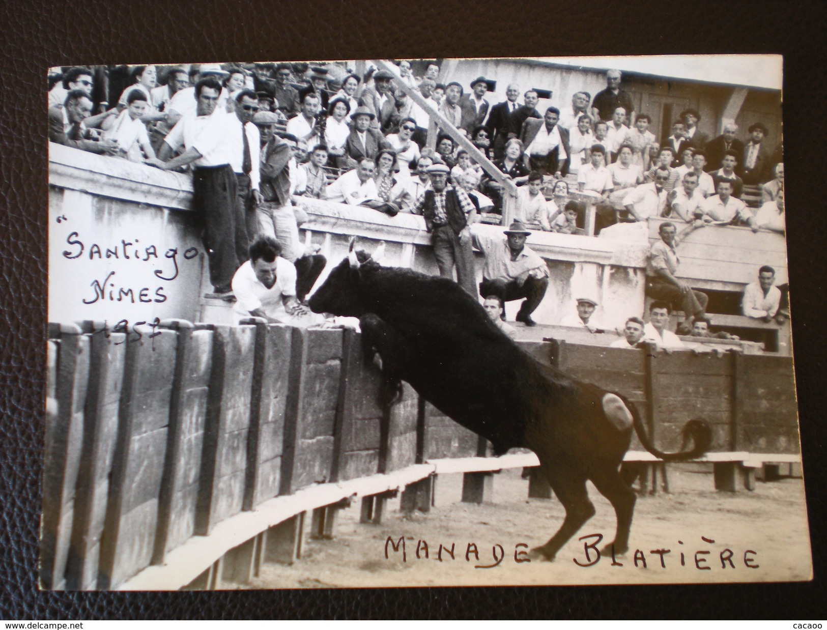 30 - NÎMES -Photographie RENAUD Camargue."SANTIAGO NIMES 1957"MANADE BLATIERE " Signée Au Dos Alfred .BLATRIERE 1958. - Dédicacées