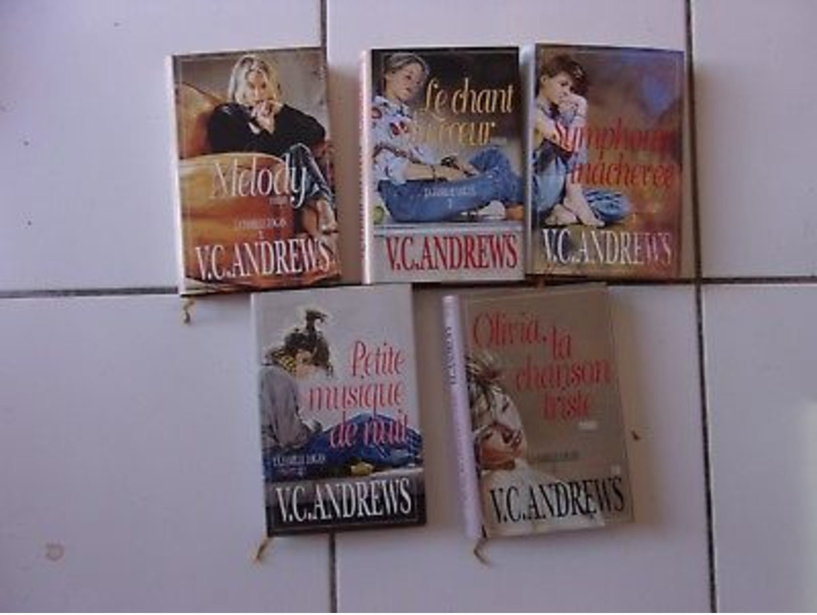 Lot Virginia C Andrews Série Complète LA FAMILLE LOGAN  Tomes 1 2 3 4 5 Tbe - Other & Unclassified