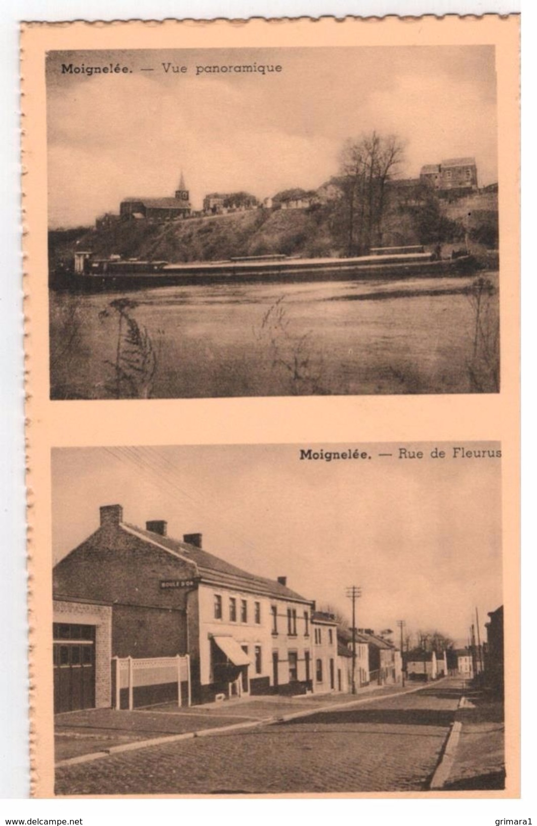 Moignelée - Vue Panoramique - Rue De Fleurus - Sambreville