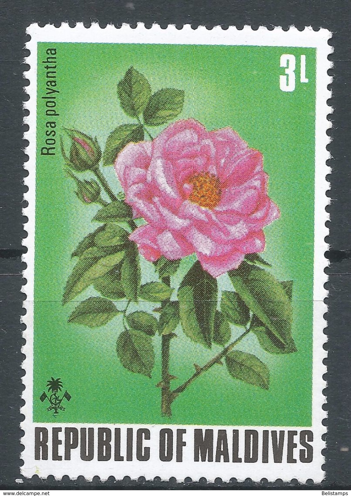 Maldive Islands 1973. Scott #457 (MNH) Rosa Polyantha, Flowers - Maldives (1965-...)
