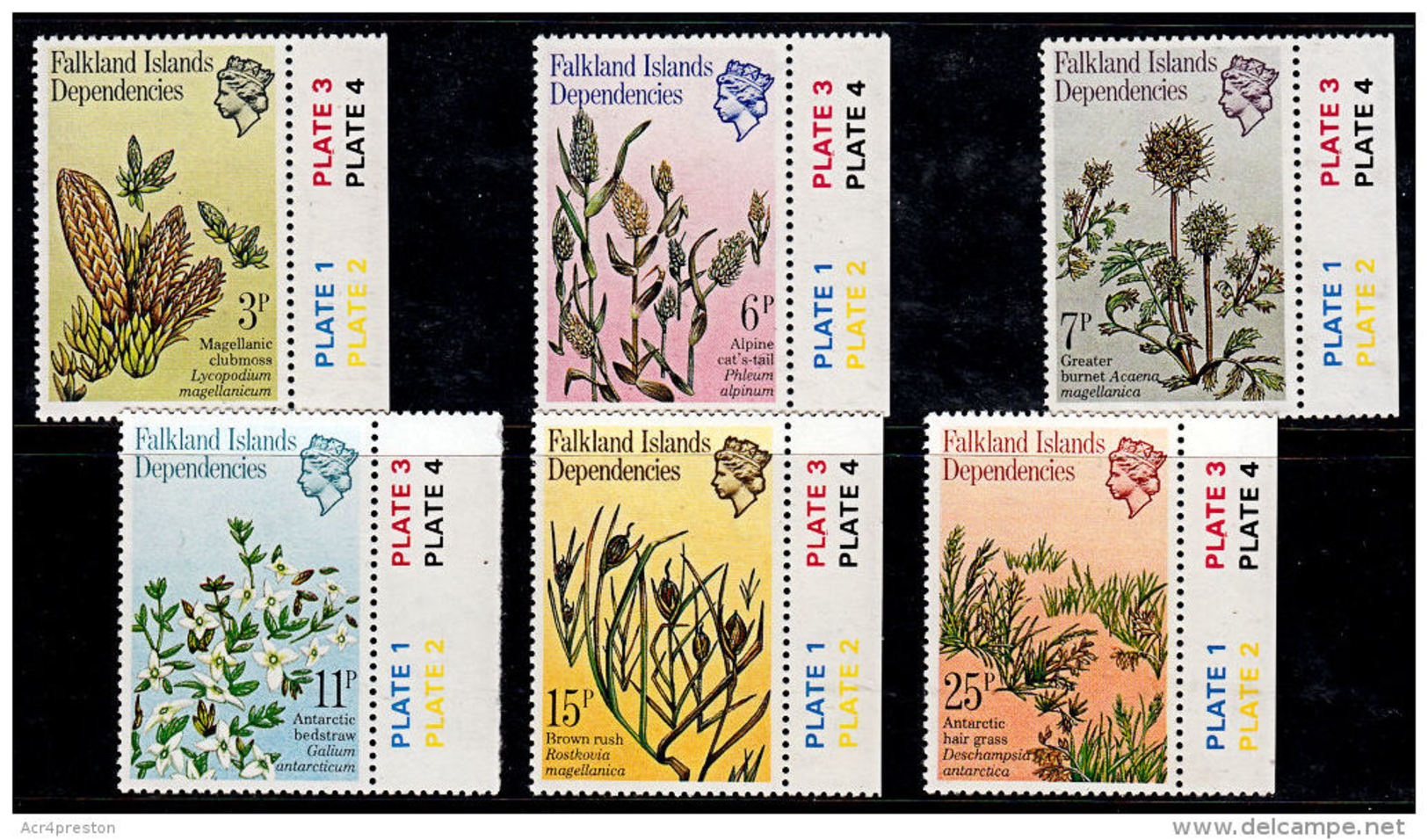 A0477 FALKLAND DEPENDENCIES 1981, SG 89-94 Plants, Mnh - Falkland Islands