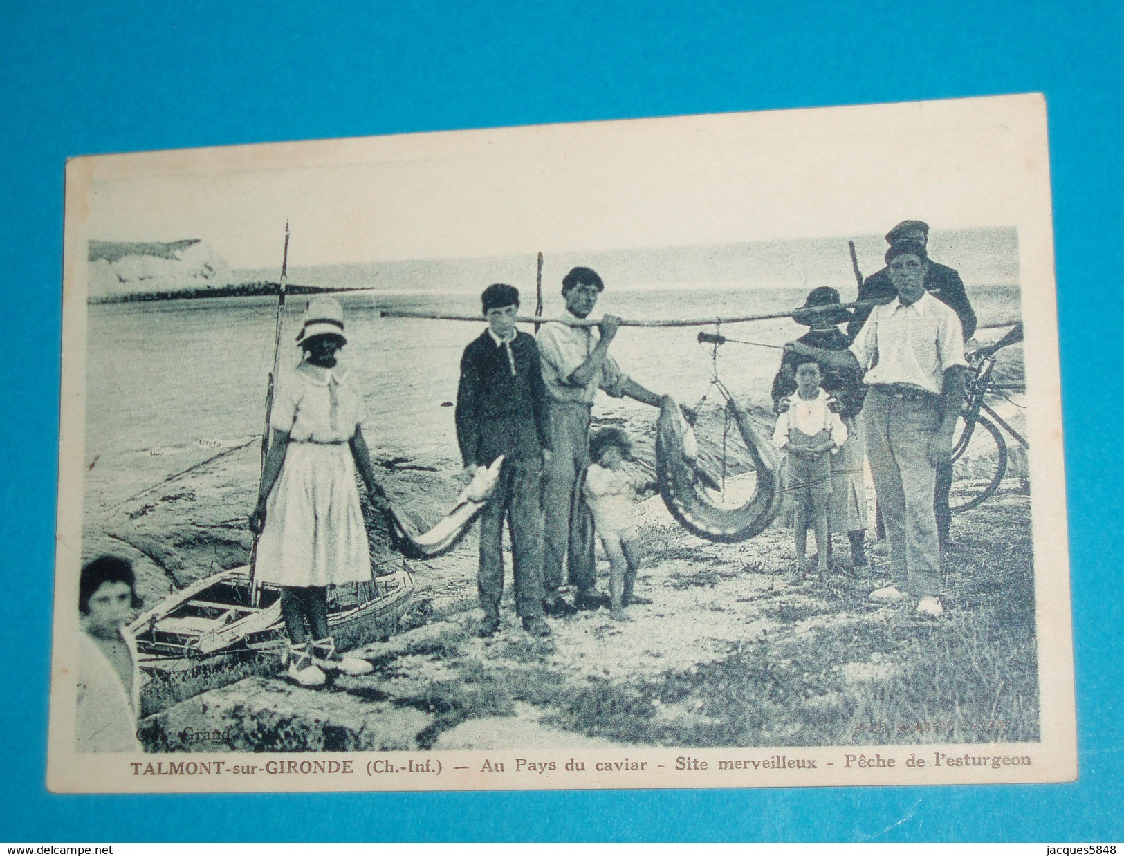 17 ) Talmont Sur Gironde - Peche De L'esturgeon - Au Pays Du Caviar - Année  - EDIT : - Autres & Non Classés