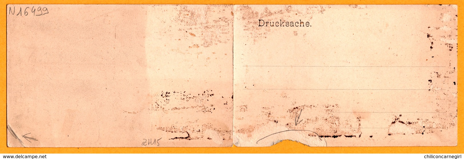 Carte Double - Panoramique - Zürich Von Der Wald Aus - Vue Aérienne - 043 Ges. Gesch. 1903 - Wald