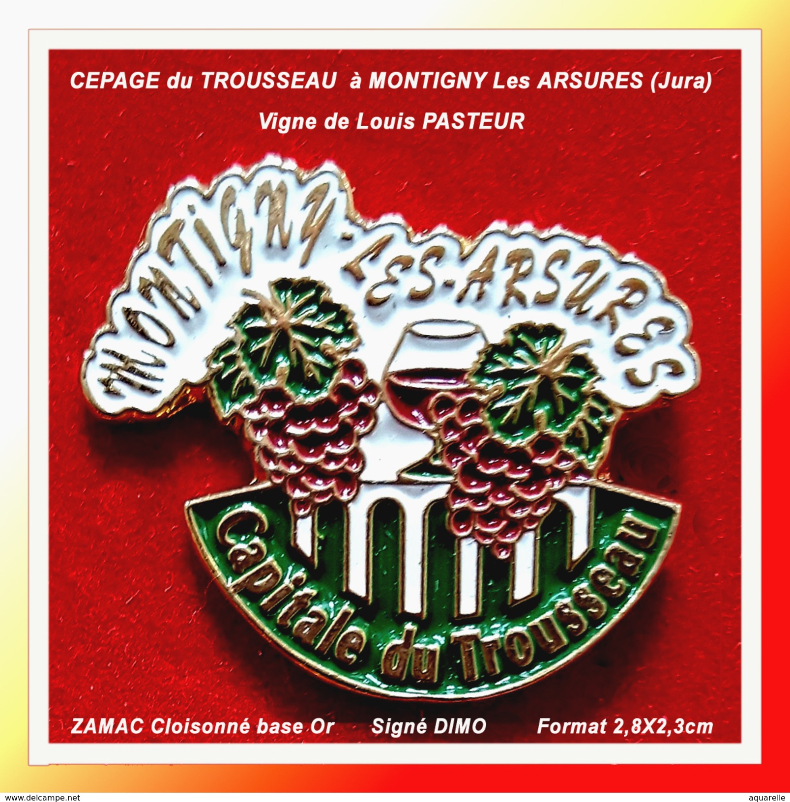 SUPER PIN'S CEPAGE Du TROUSSEAU : Vignoble Du JURA à MONTIGNY Les ARSURES (Vigne De LOUIS PASTEUR) Signé DIMO, 2,8X2,3cm - Boissons