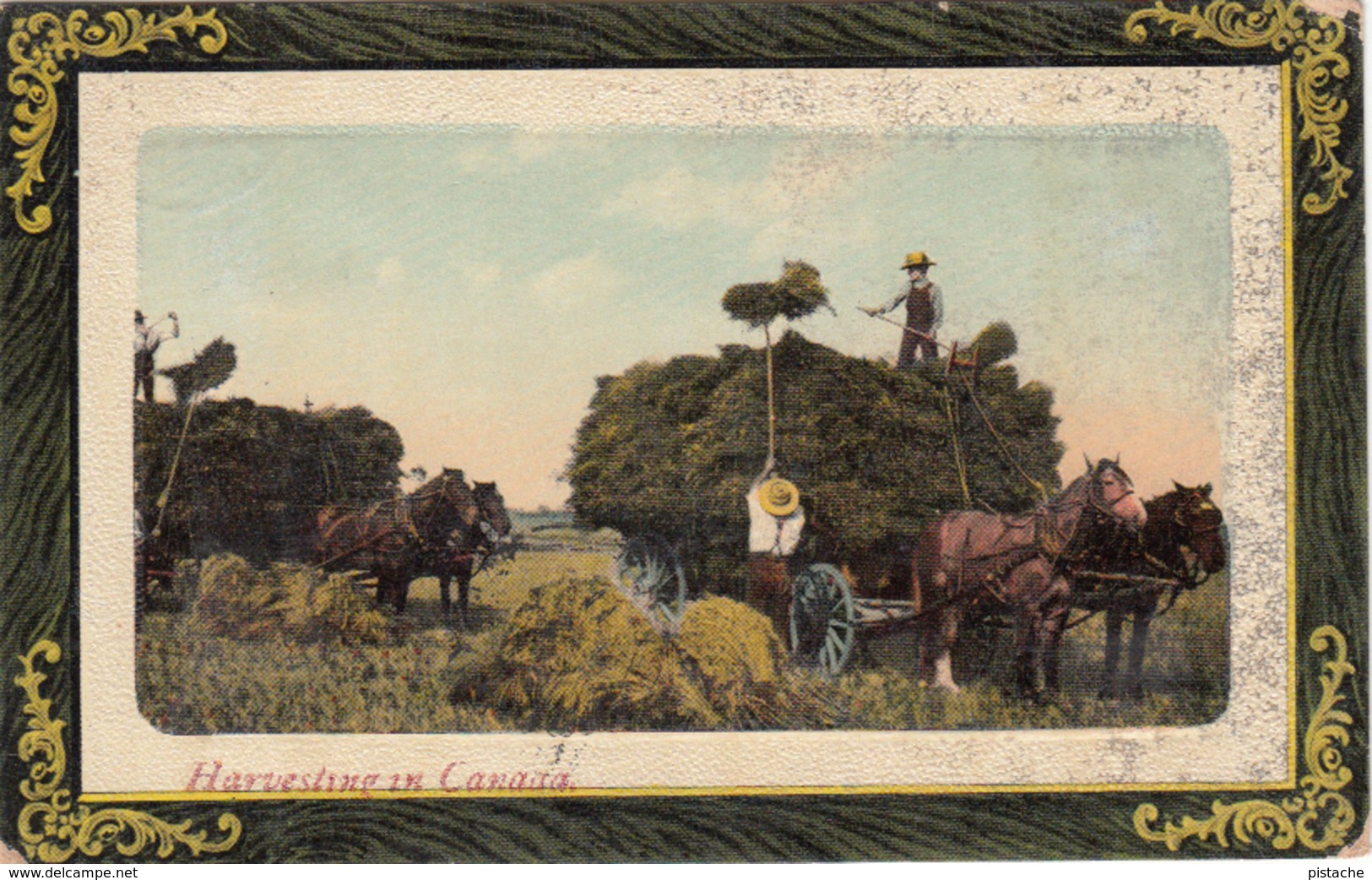 Vintage - Harvesting In Canada - Horses Farm Farmers - Wheat Fields - By Stedman Bros. - Written 1911 - 2 Scans - Other & Unclassified