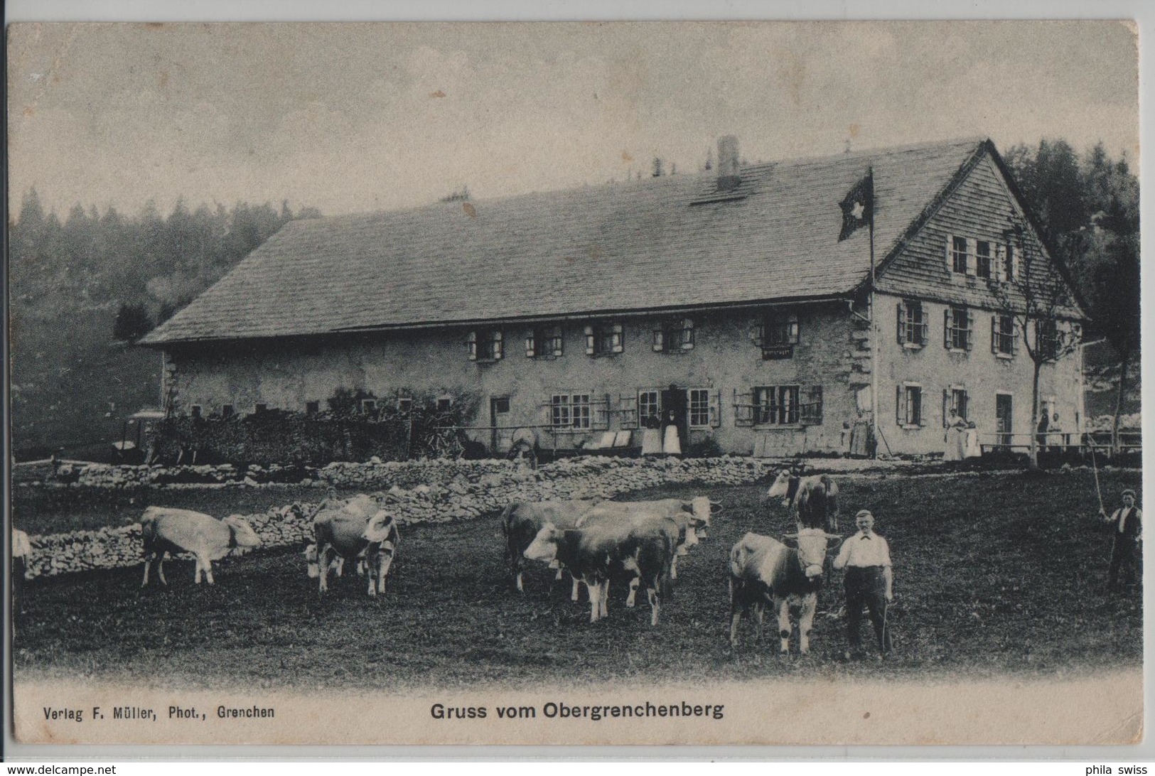 Gruss Vom Obergrenchenberg - Kühe, Vaches, Animee - Photo: F. Müller - Sonstige & Ohne Zuordnung