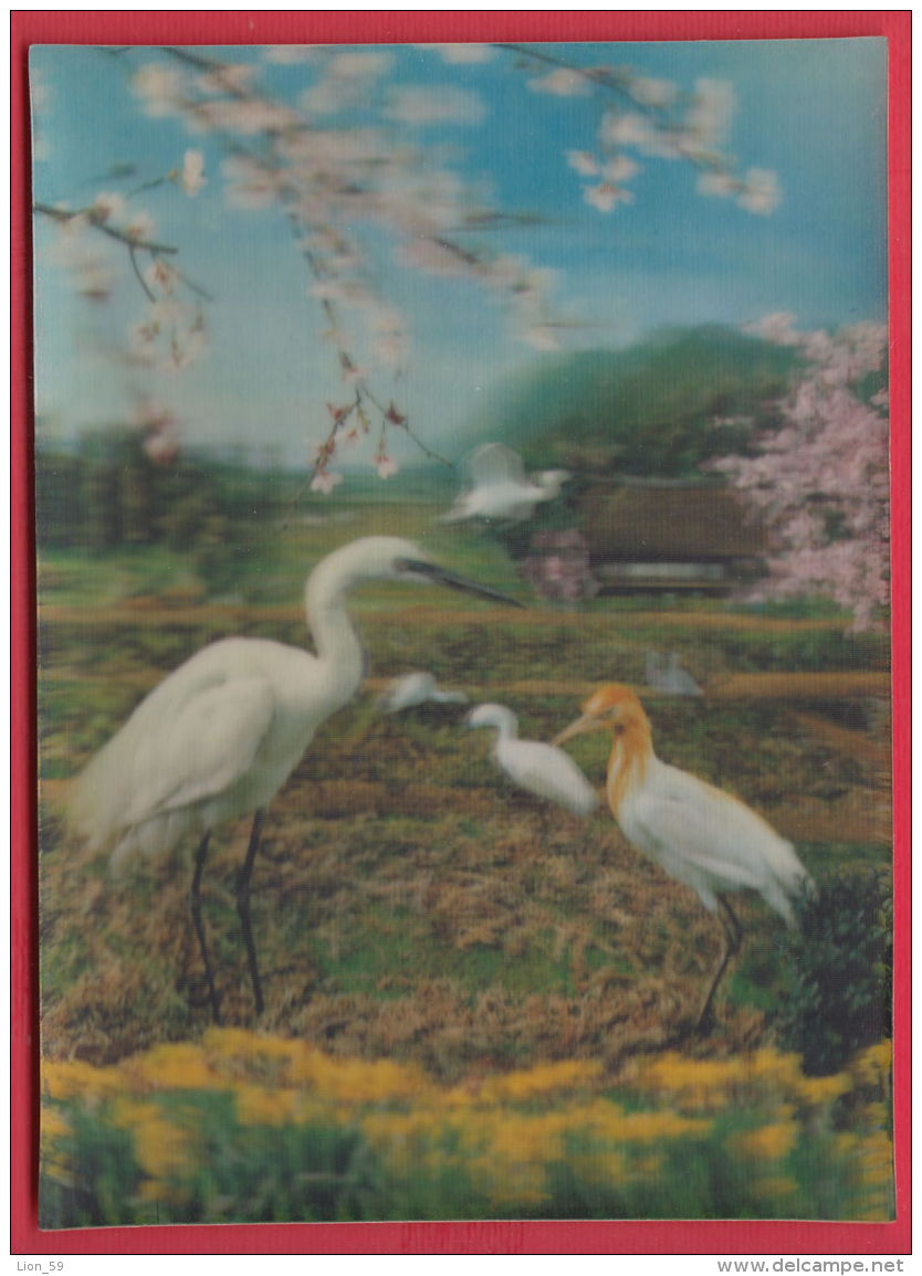 219595 / 3D STEREO Lenticular Picture Pc  BIRD ANIMALS , USED 1971 Germany Deutschland Allemagne Germania - Cartes Stéréoscopiques