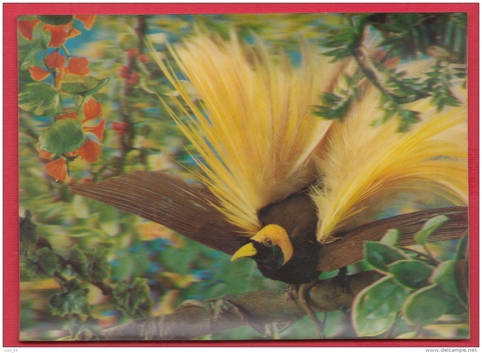 219596 / 3D STEREO Lenticular Picture Pc  BIRD ANIMALS , USED 1971 Germany Deutschland Allemagne Germania - Cartes Stéréoscopiques
