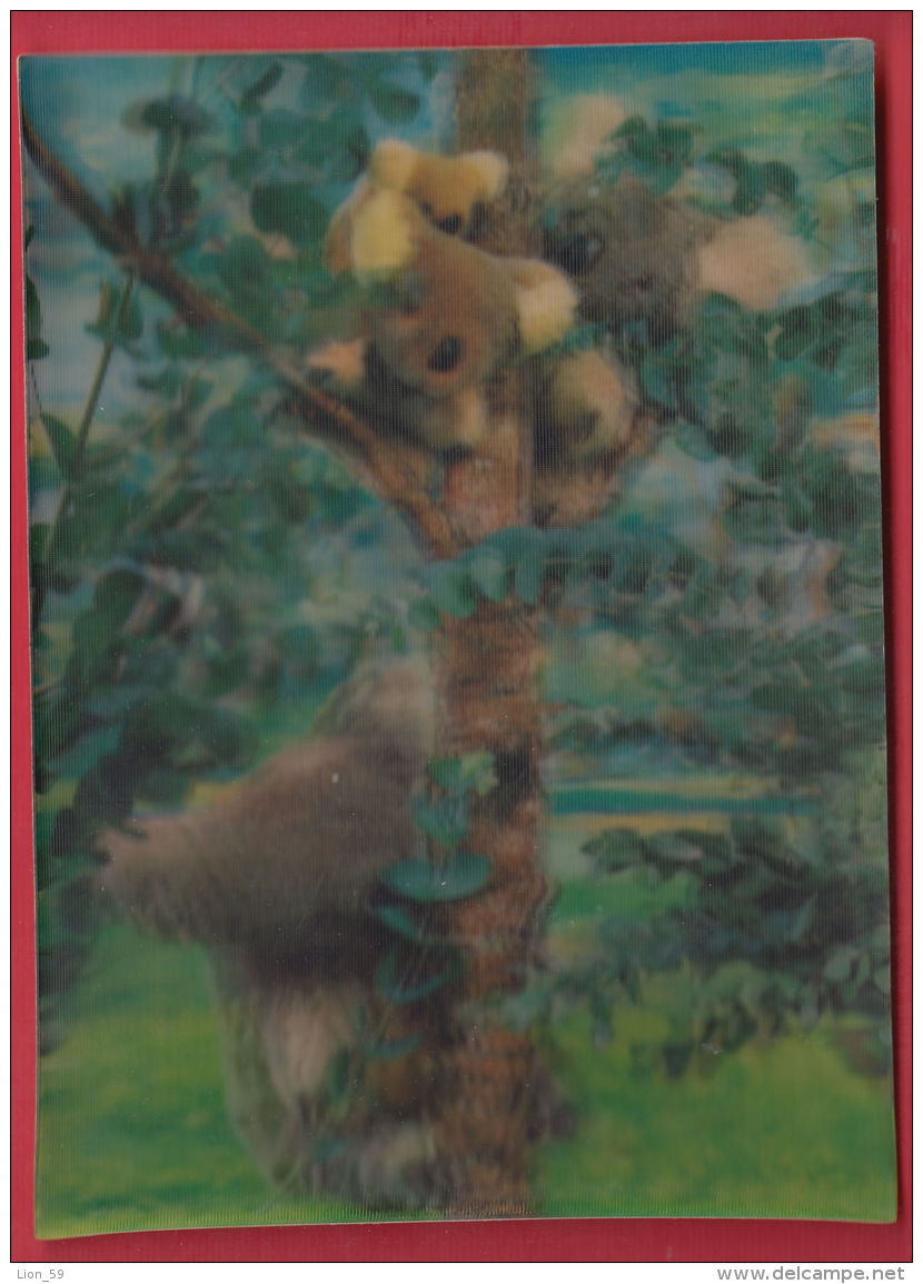 219597 / 3D STEREO Lenticular Picture Pc  BEAR ANIMALS , USED 1967 Germany Deutschland Allemagne Germania - Cartes Stéréoscopiques