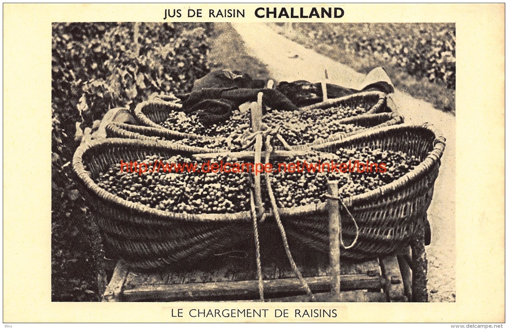 Jus De Raisin CHALLAND - Le Chargement De Raisins - Vignes