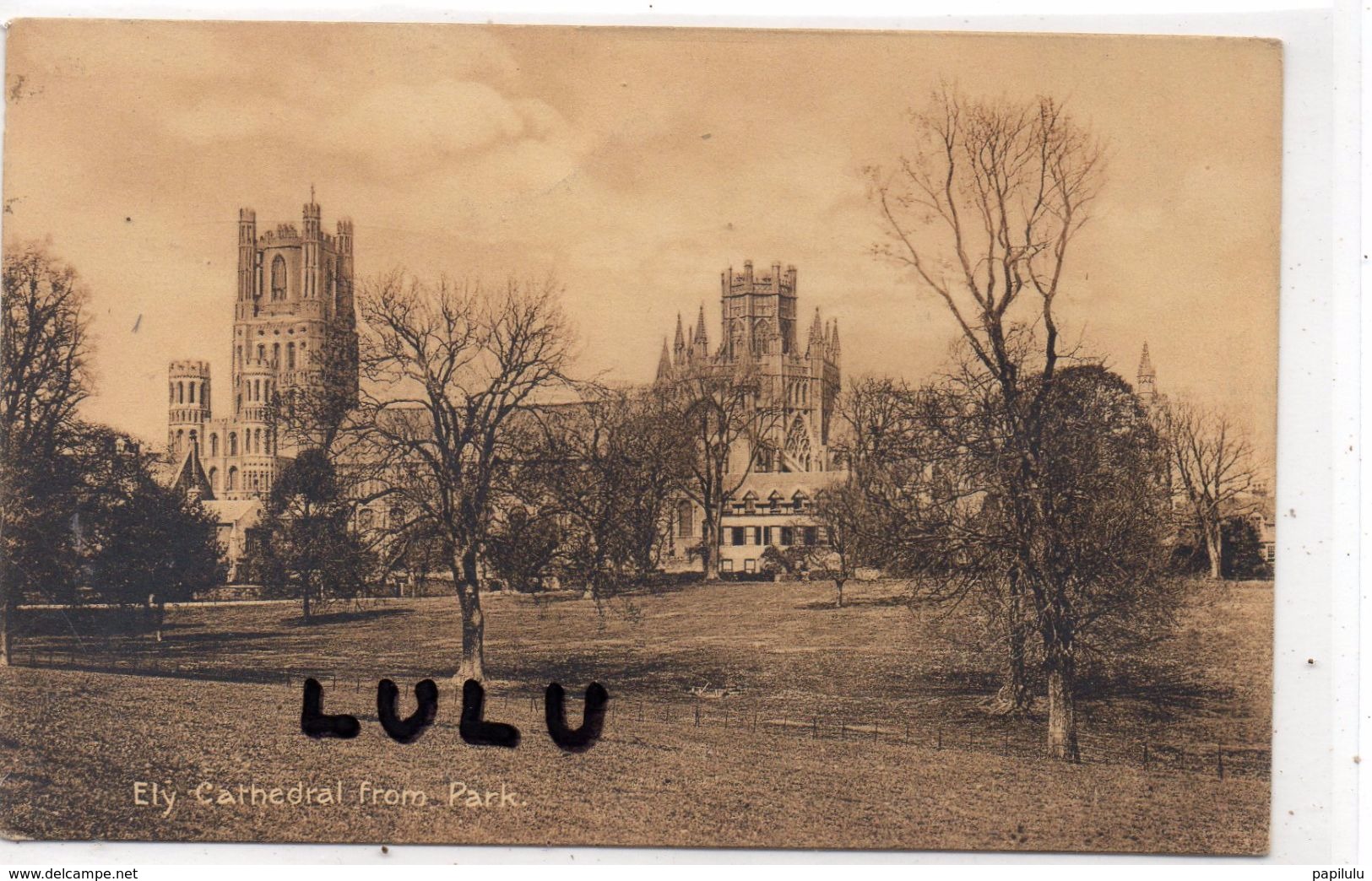ANGLETERRE :  Ely Cathédral From Park - Ely