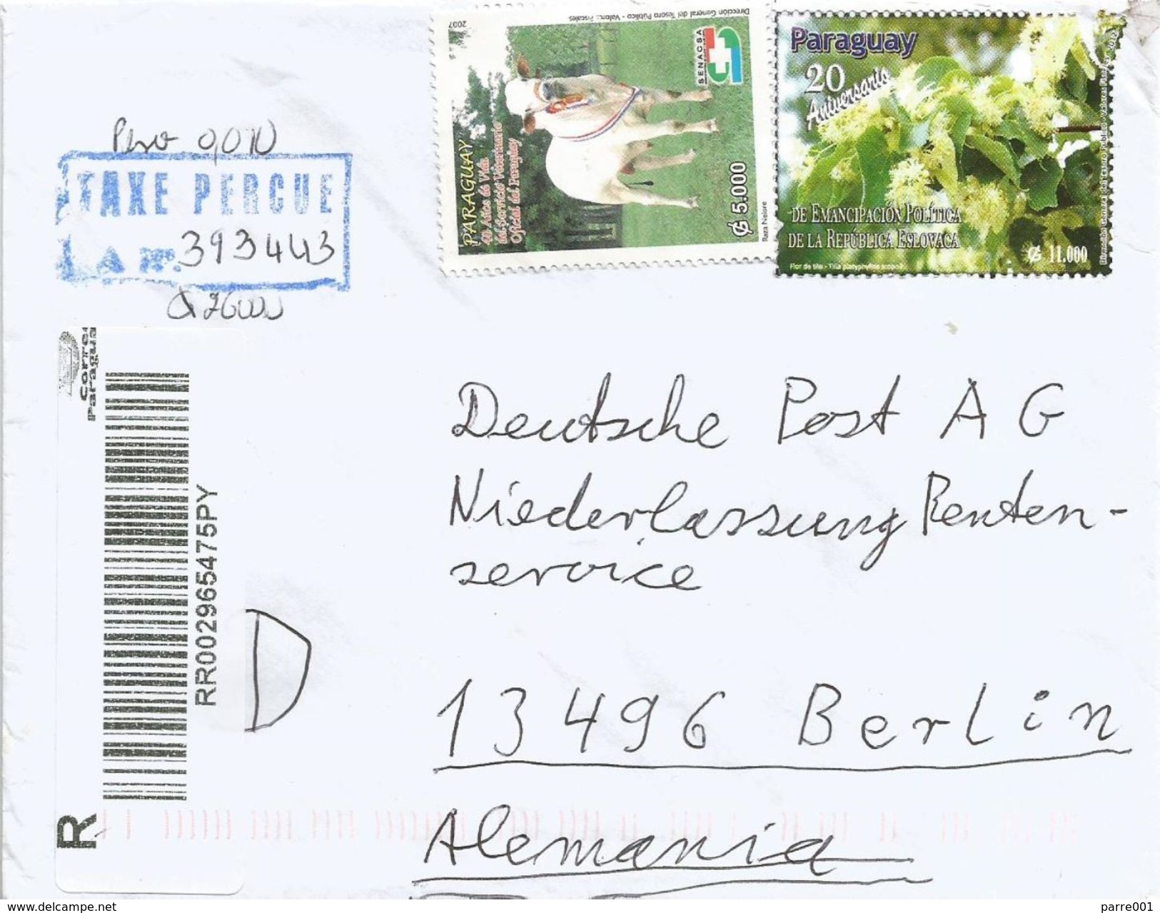 Paraguay 2013 Caacupe Cattle Lime Tree Flower Barcoded Registered Taxe Percue Cover - Paraguay