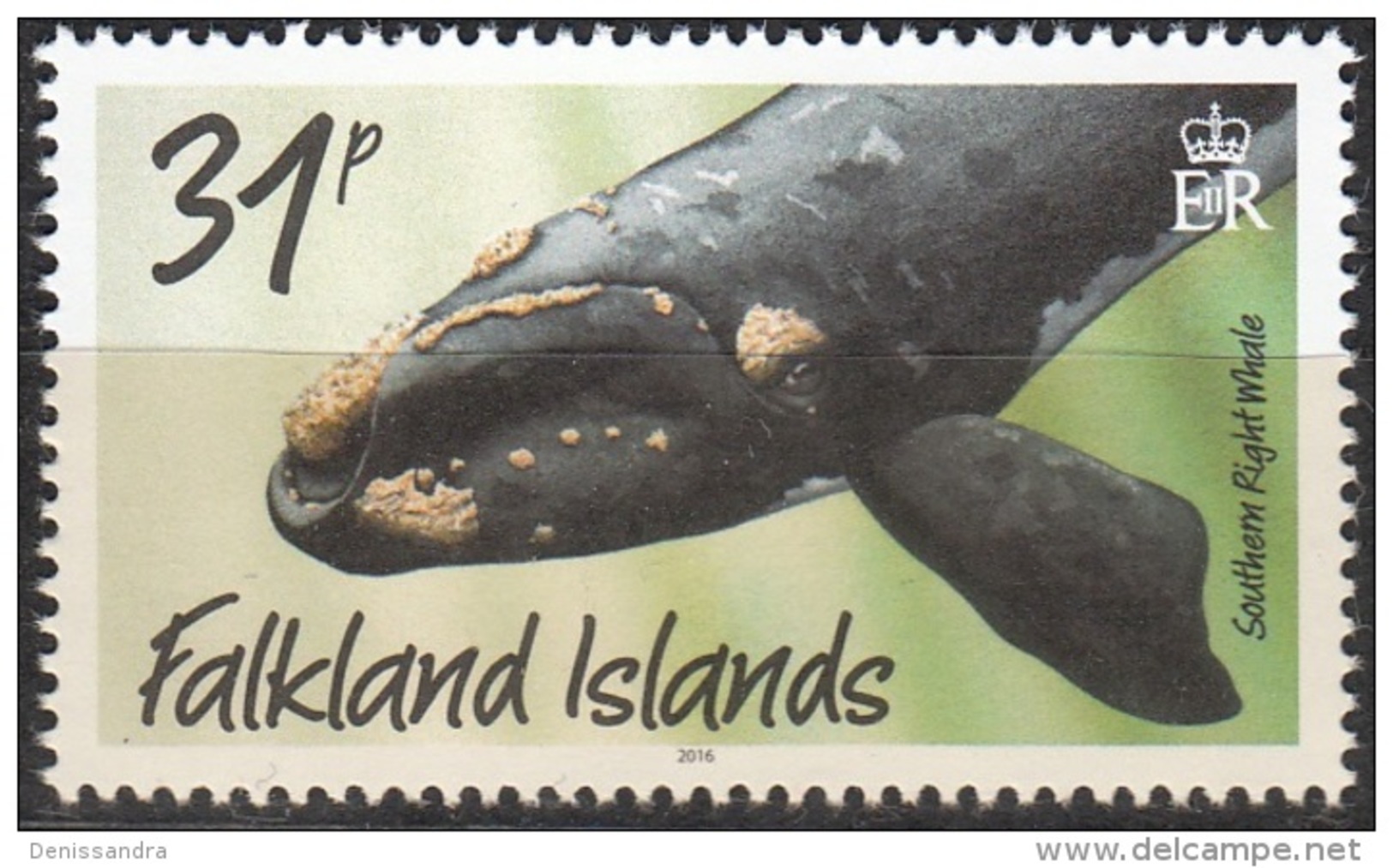 Falkland Islands 2016 Baleine Franche Australe Neuf ** - Falkland