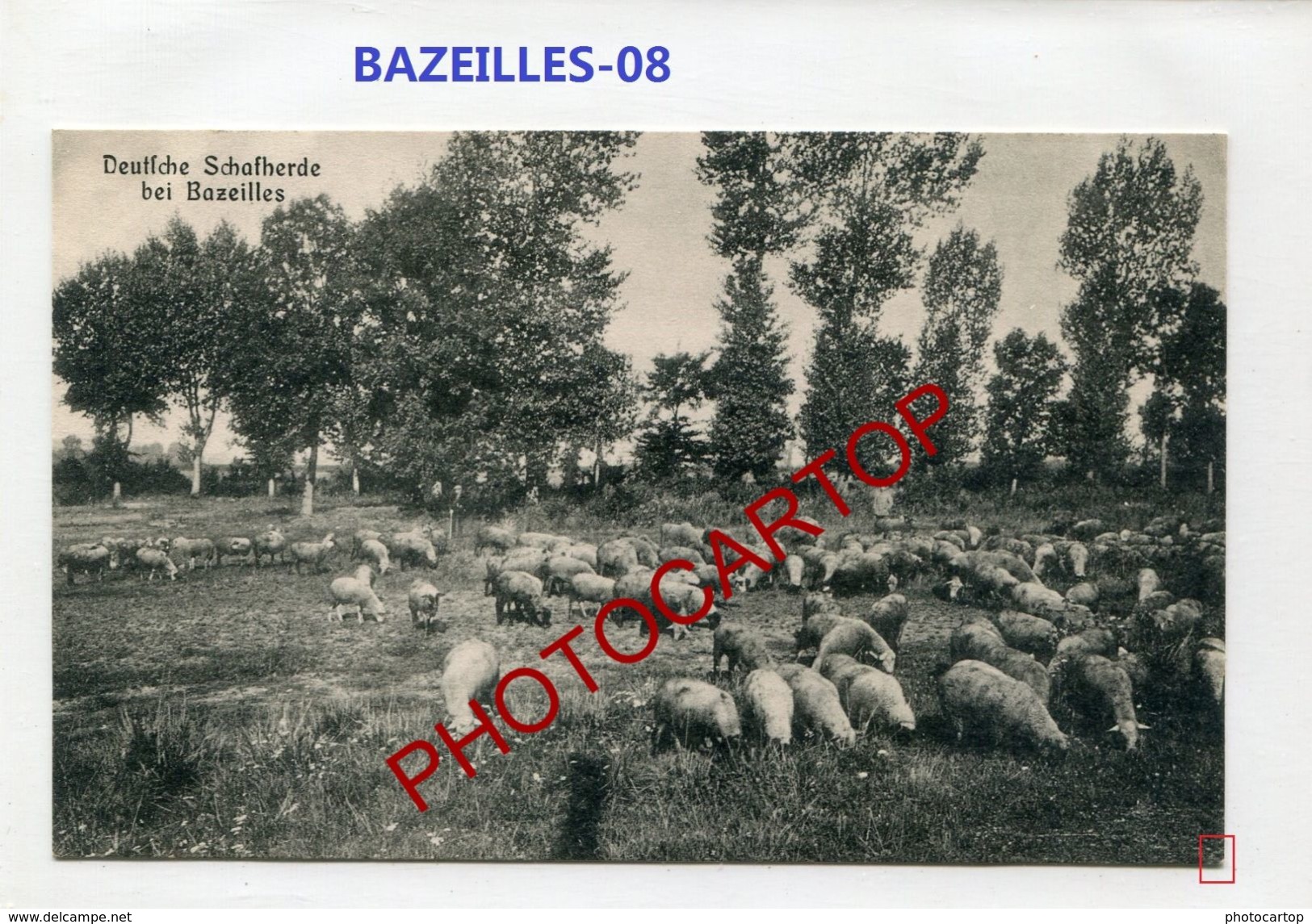 BAZEILLES-Troupeau De Moutons-CARTE Allemande-Guerre 14-18-1 WK-France-08 - Autres & Non Classés