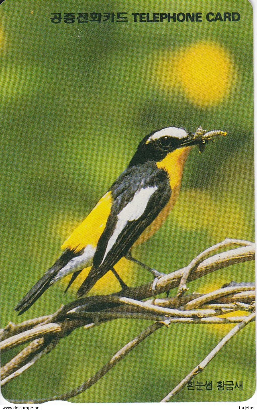 TARJETA DE COREA DE UN PAJARO AMARILLO Y NEGRO (BIRD-PAJARO) - Otros & Sin Clasificación