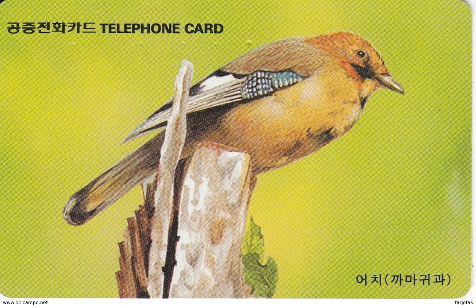 TARJETA DE COREA DE UN ARRENDAJO (BIRD-PAJARO) - Otros & Sin Clasificación