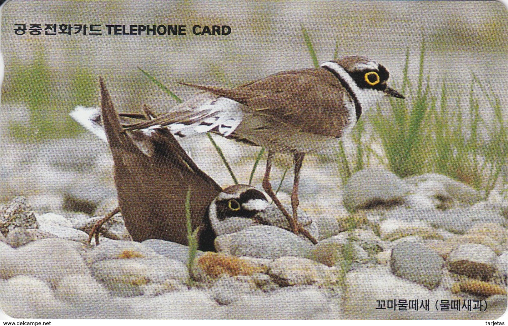 TARJETA DE COREA DE UNOS PAJAROS (BIRD-PAJARO) - Otros & Sin Clasificación