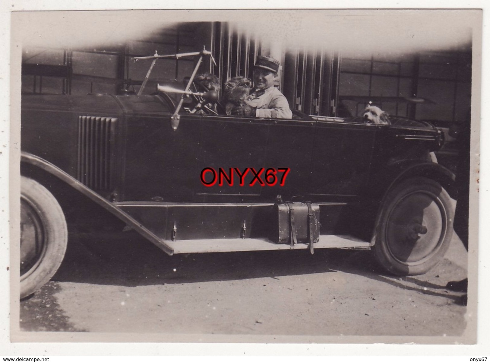 PHOTO 8,5 X 6 Cms - VOITURE-AUTO AUTOMOBILE-MARQUE A DETERMINER  -TRANSPORT-MILITAIRE FRANCAIS-CHIEN-A SITUER-LOCALISER - Voitures