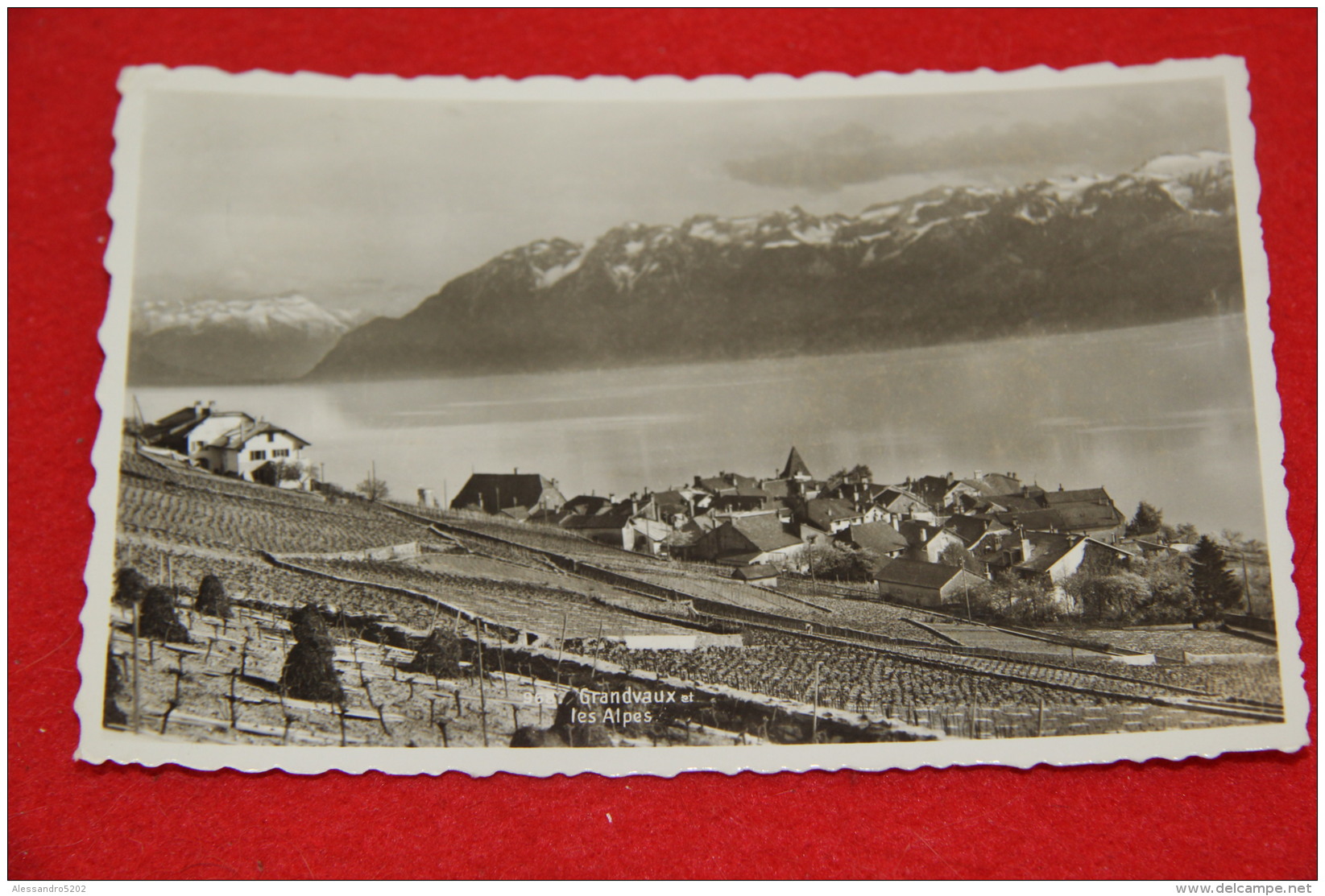 Vaud Grandvaux Et Les Alpes 1956 Ed. Perrochet - Grandvaux