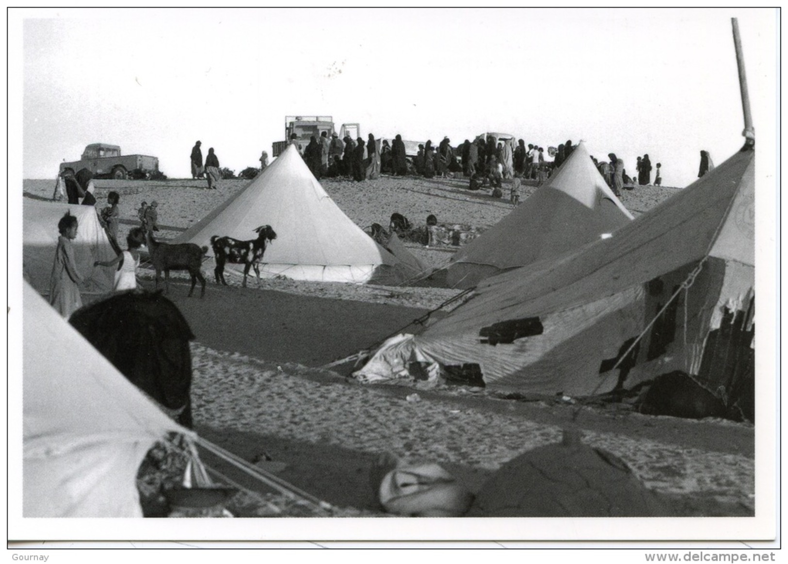 Sahara Occidental : 1752/10 Camp De Réfugiés Du Front Polisario Mai 76  (J'réfia Sahraouis Gonfreville) Photo Bloncourt - Sahara Occidentale