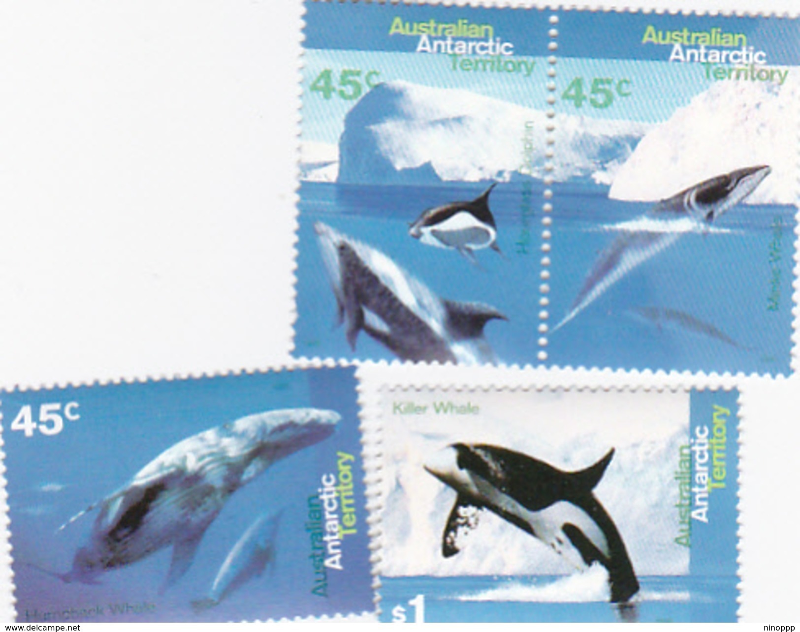 Australian Antarctic Territory  ASC 101-104 1995 Whales & Dolphins Set MNH - Unused Stamps