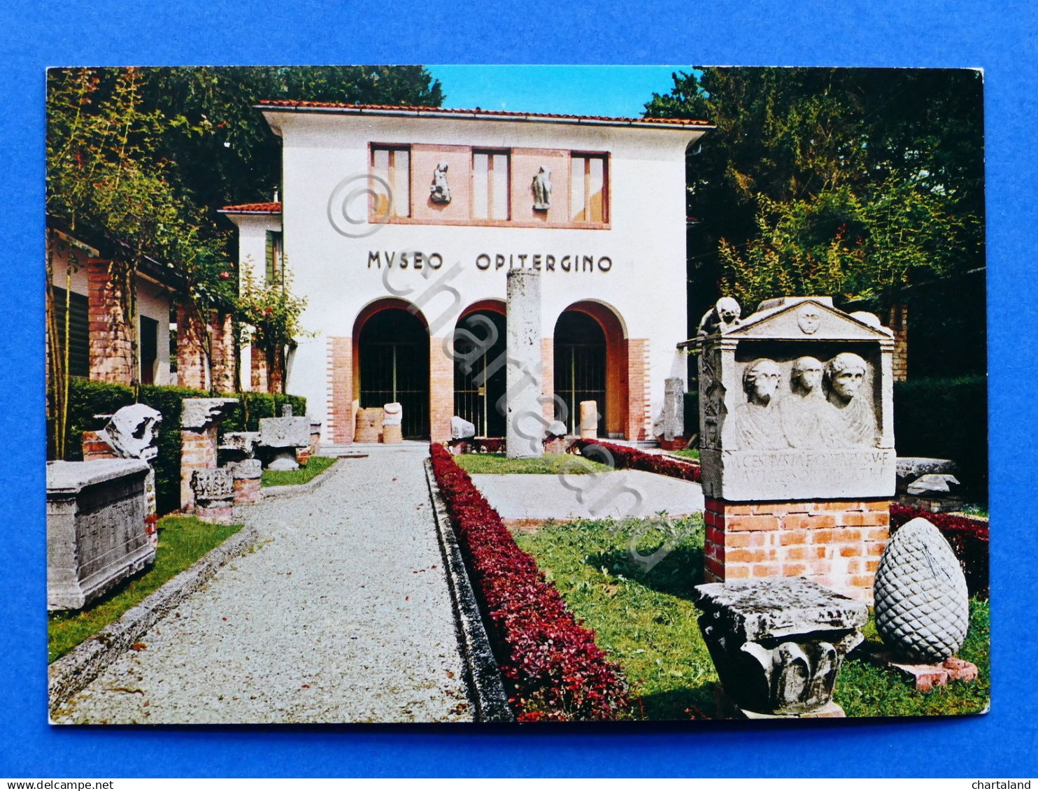 Cartolina Oderzo - Museo Civico - 1965 Ca. - Treviso