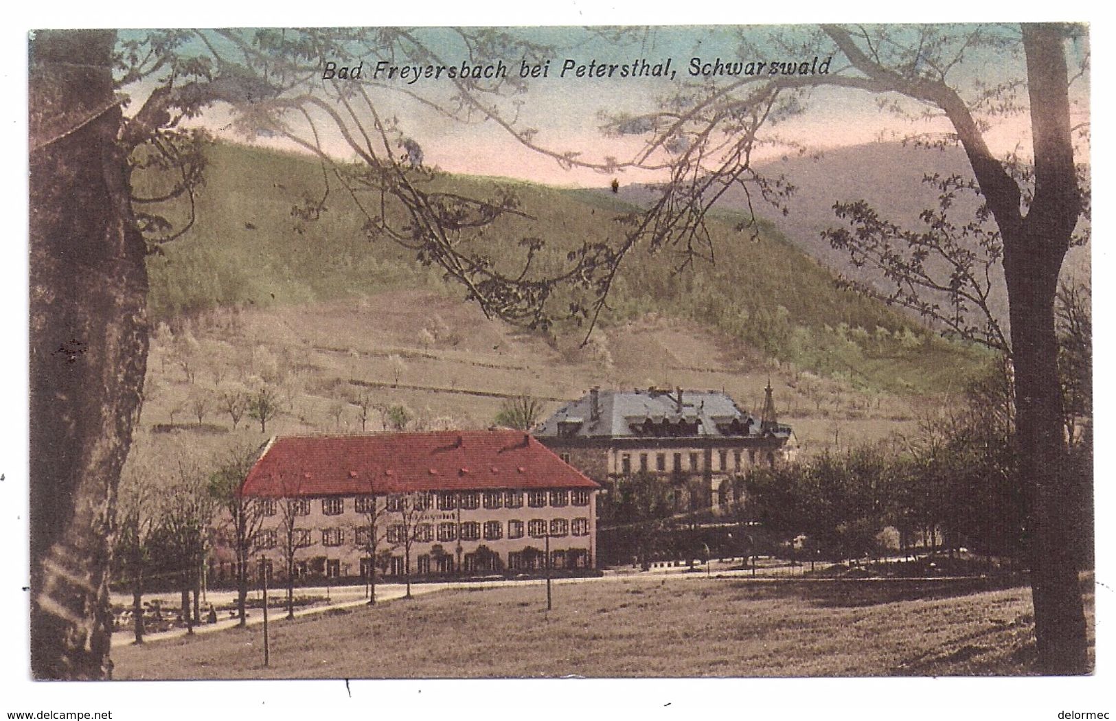 CPA Bad Peterstal Griesbach Freyersbach Bei Petersthal Allemagne Deutschland Bade Wurtemberg éditeur Felix Luib - Bad Peterstal-Griesbach