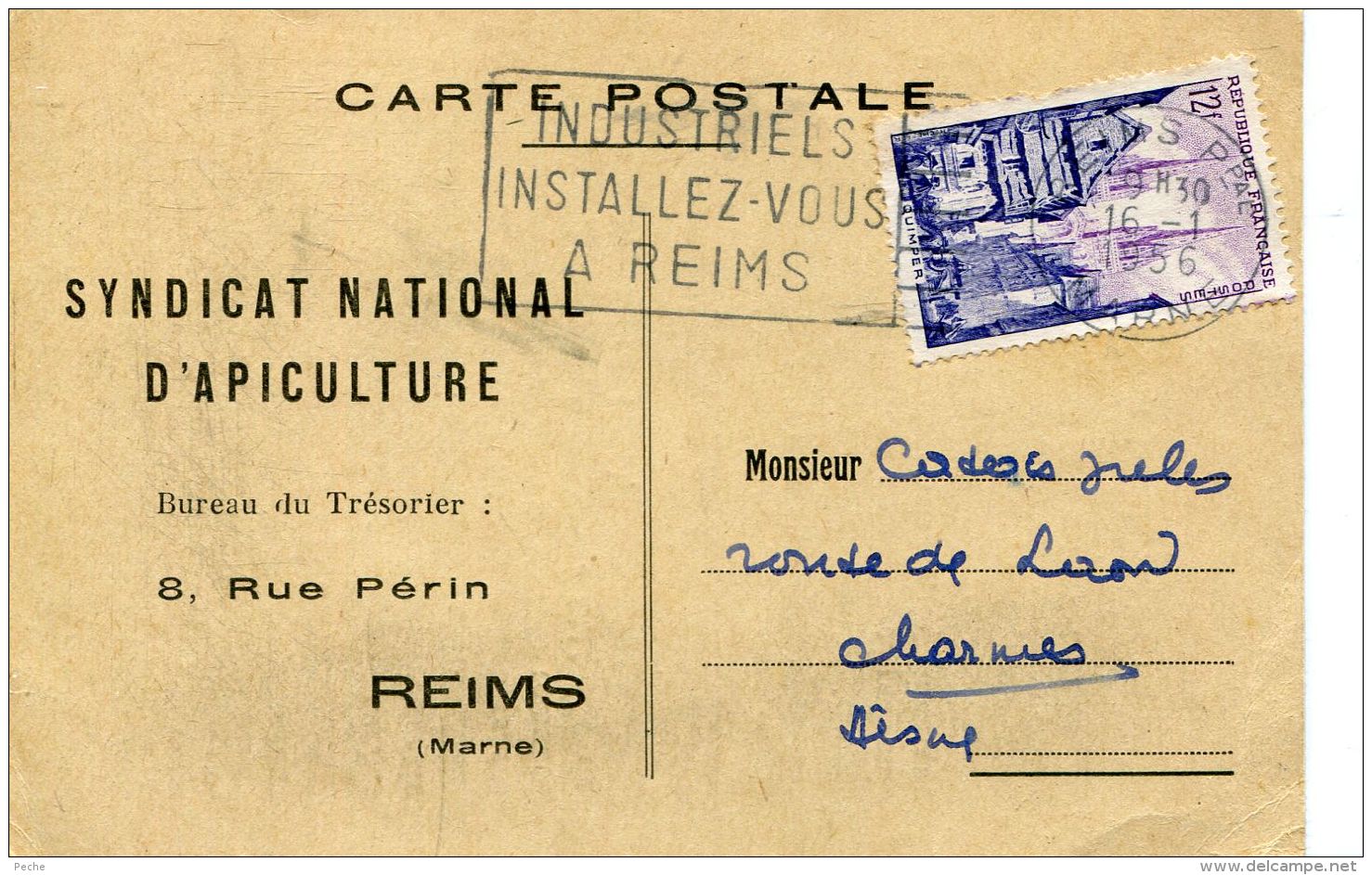 N°56962 -carte Syndicat National D'apiculture à Reims - Autres & Non Classés