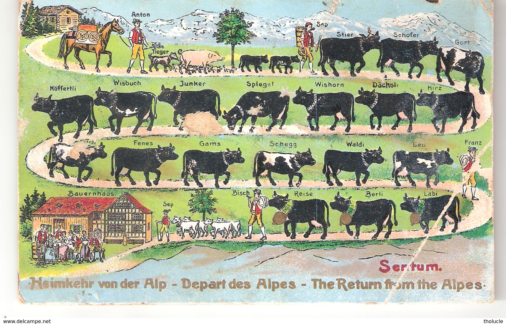 SENTUM-HEIMKEHR VON DER ALP-DEPART DES ALPES-THE RETURN FROM THE..VACHE TRANSHUMANCE MOUTON COCHON .ED.GUGGENHEIM ZURICH - Elevage