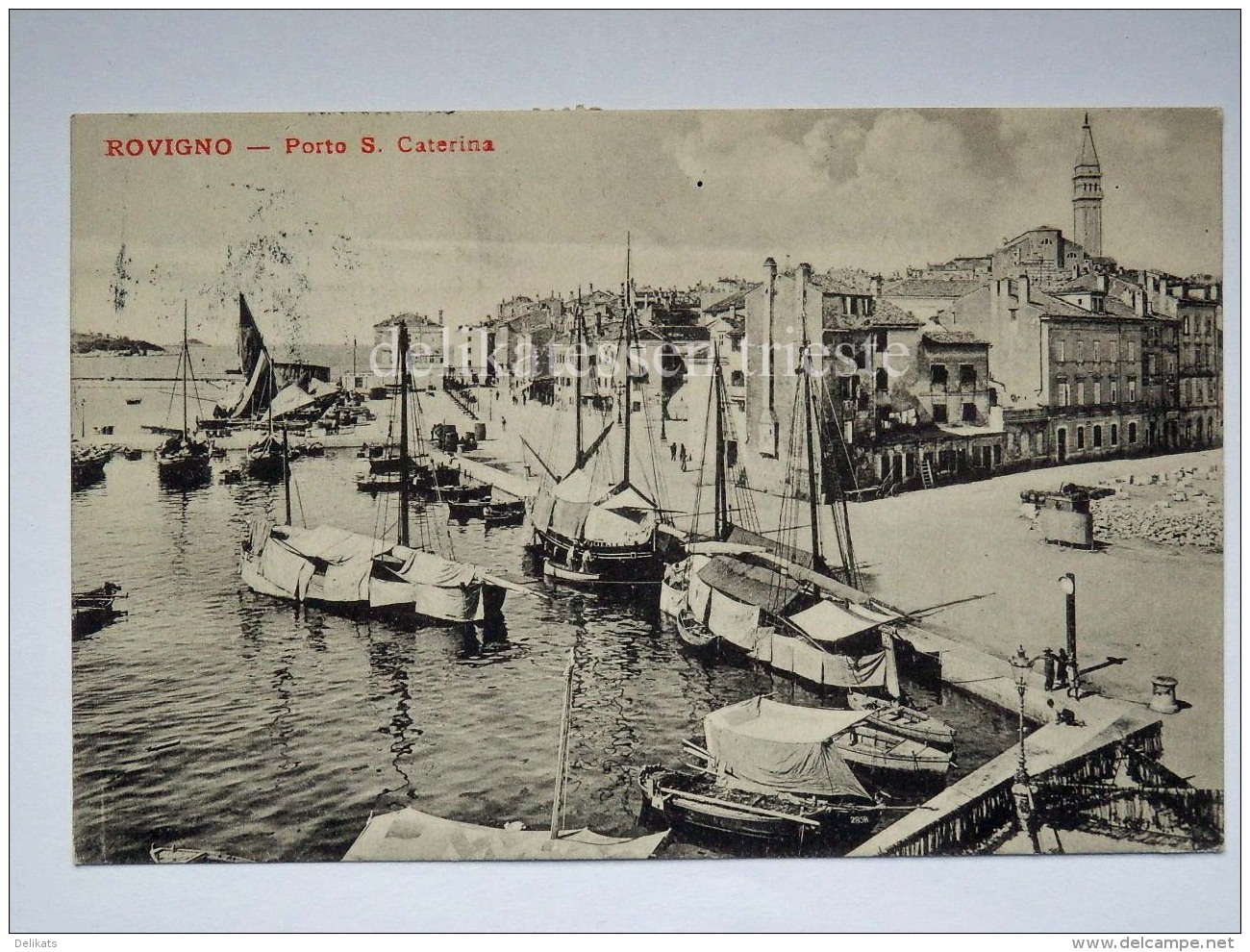 ROVIGNO ISTRIA Vecchia Cartolina Porto S. Caterina Barche Pesca 11811 - Croazia