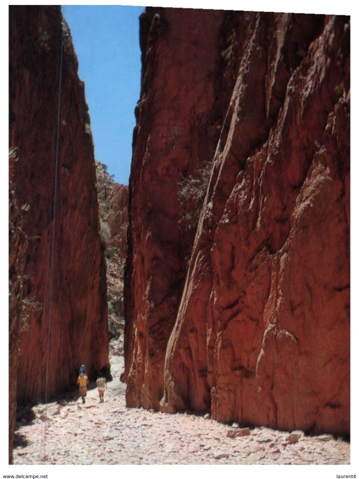 (800) Australia - NT - Standley Chasm - The Red Centre