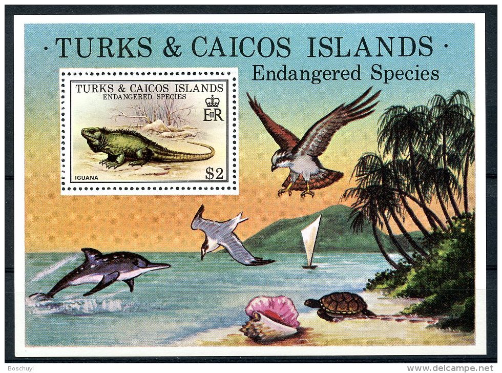 Turks And Caicos Islands, 1979, Nature Conservation, Iguana, Birds, Turtles, Shells, Dolphin, MNH, Michel Block 14 - Turks & Caicos (I. Turques Et Caïques)