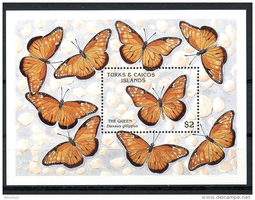 Turks And Caicos Islands, 1990, Butterflies, Insects, Animals, MNH, Michel Block 86 - Turks & Caicos (I. Turques Et Caïques)